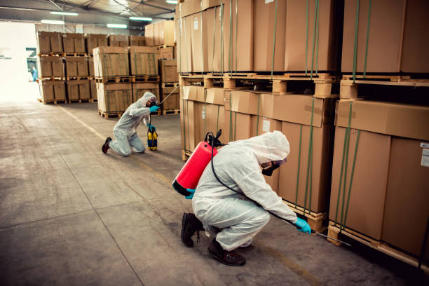  North Mankato, MN Pest Control Pros