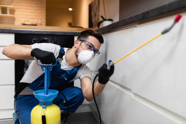 Best Pest Inspection Near Me  in North Mankato, MN