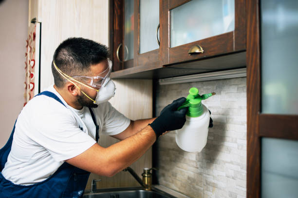 Best Bed Bug Extermination  in North Mankato, MN