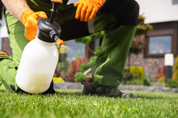 Best Termite Control Services  in North Mankato, MN