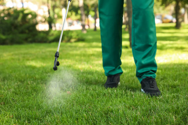 Best Residential Pest Control  in North Mankato, MN