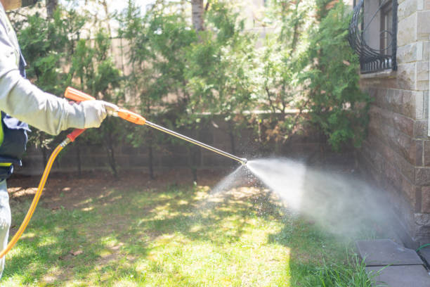 Best Commercial Pest Control Services  in North Mankato, MN