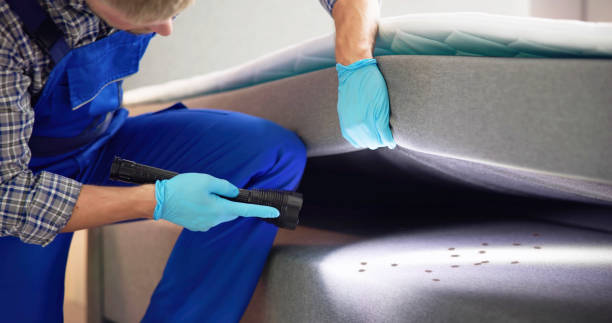 Best Pest Control for Businesses  in North Mankato, MN