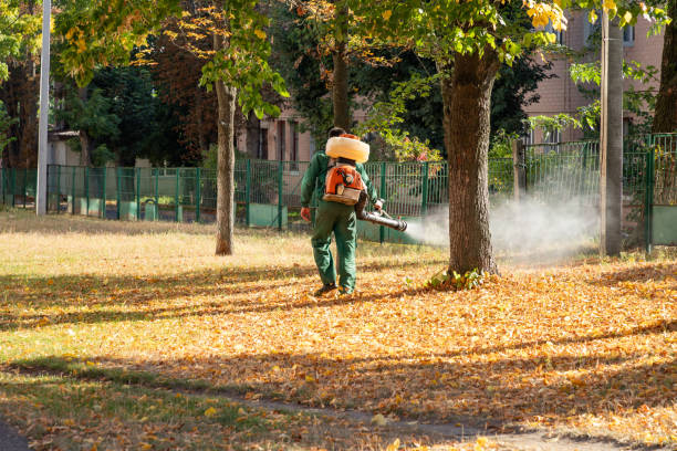Reliable North Mankato, MN Pest Control Solutions