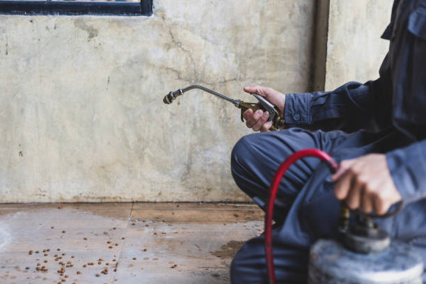 Best Pest Control Near Me  in North Mankato, MN